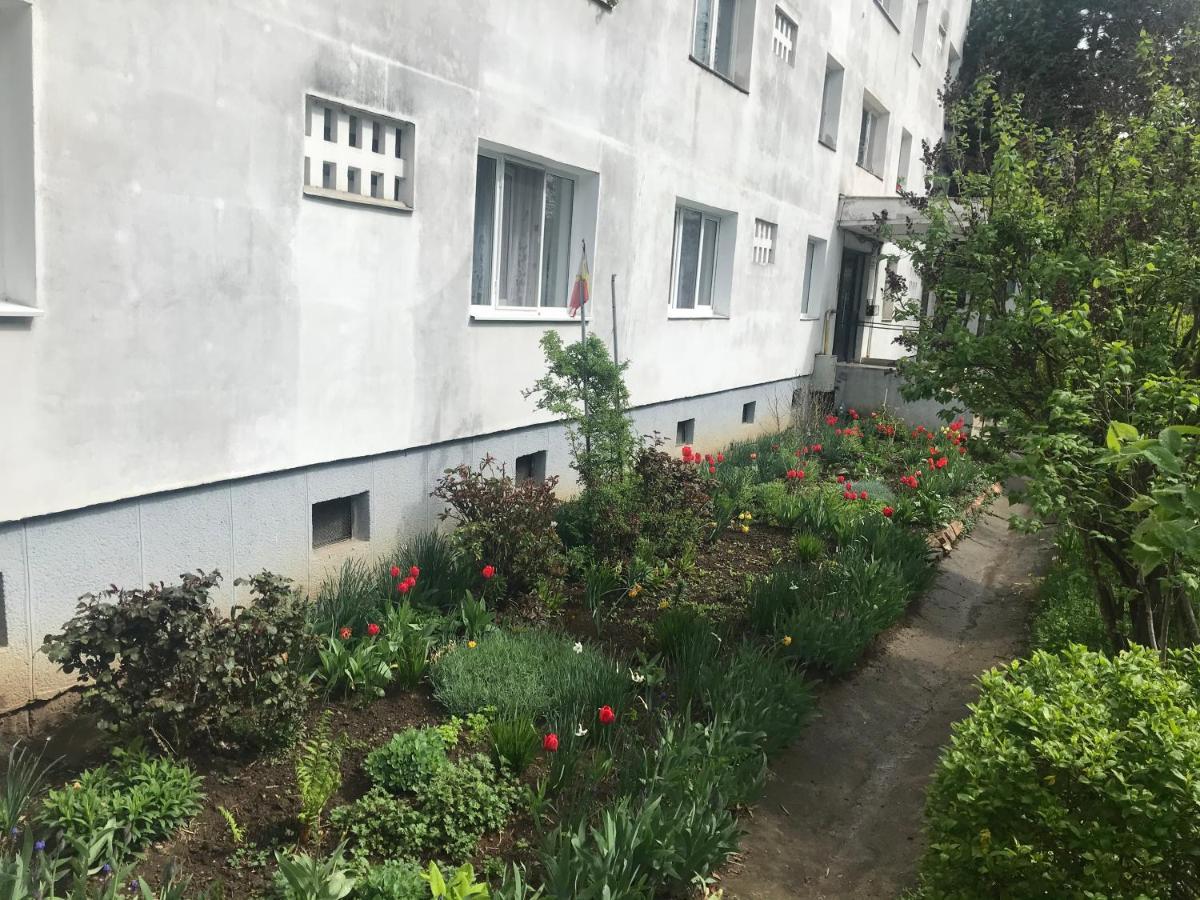 Apartament Colina Клуж-Напока Экстерьер фото
