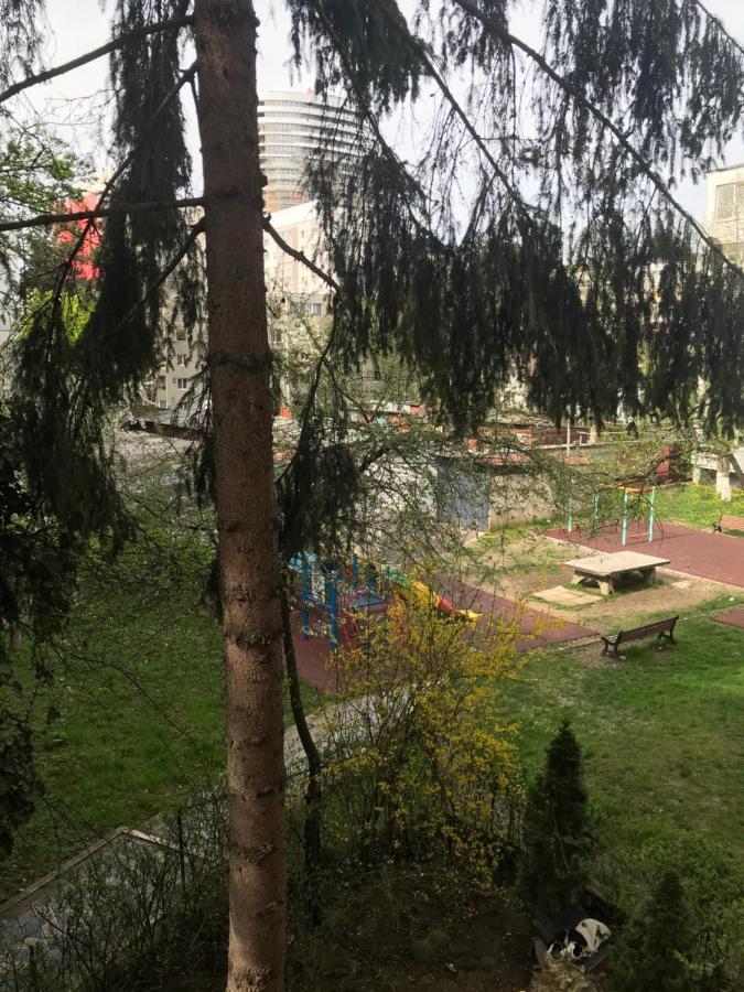 Apartament Colina Клуж-Напока Экстерьер фото